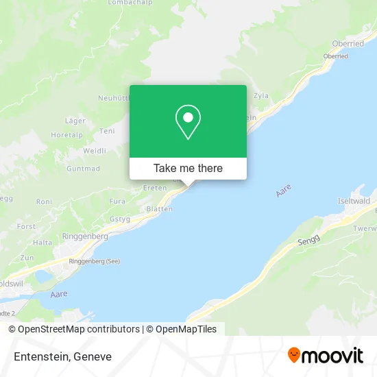 Entenstein plan
