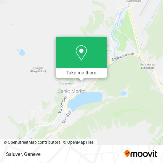 Saluver map