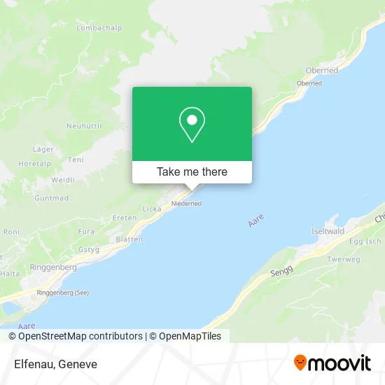 Elfenau plan