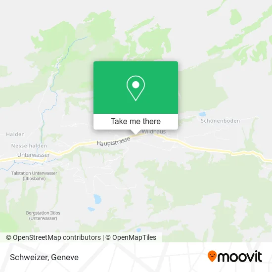 Schweizer map