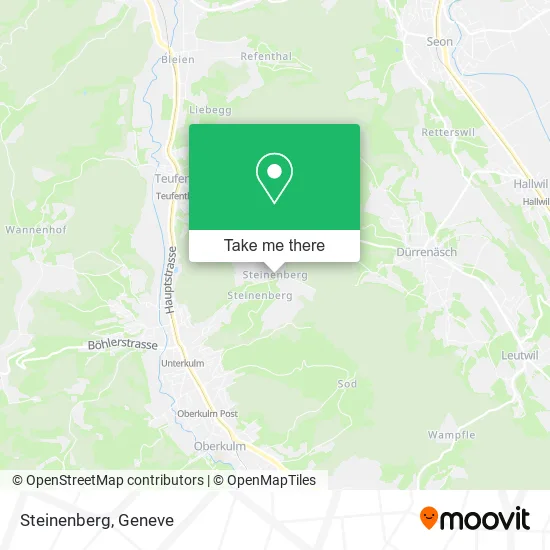 Steinenberg map