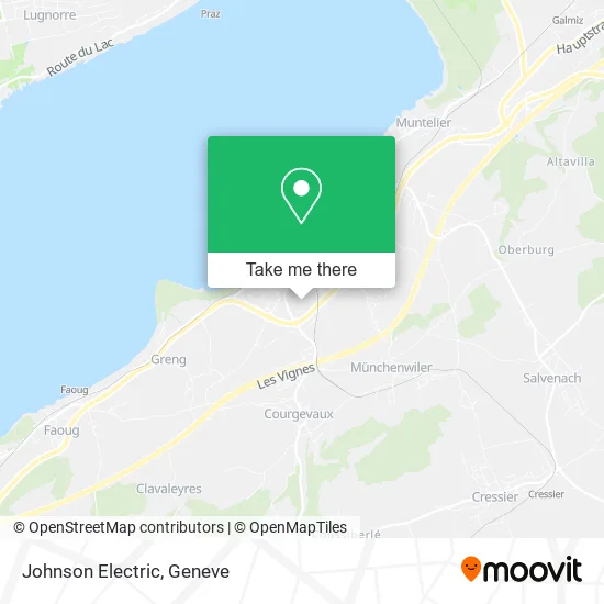 Johnson Electric map