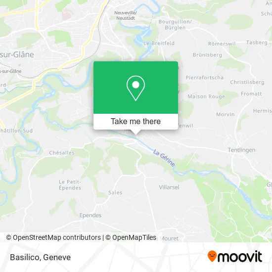 Basilico map