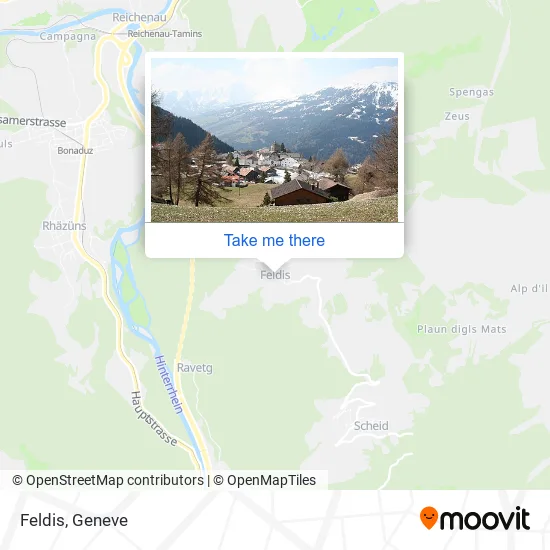 Feldis map