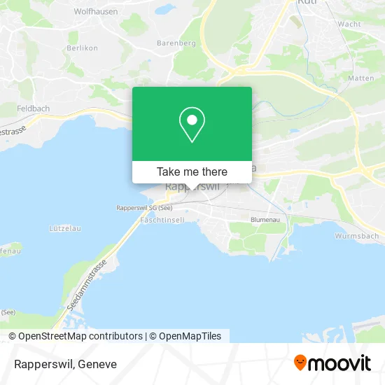 Rapperswil map