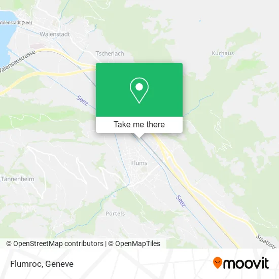 Flumroc plan