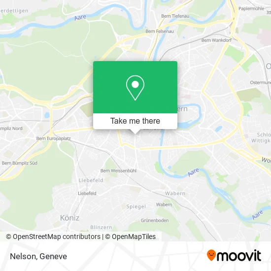Nelson map