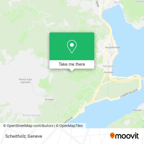 Scheitholz plan