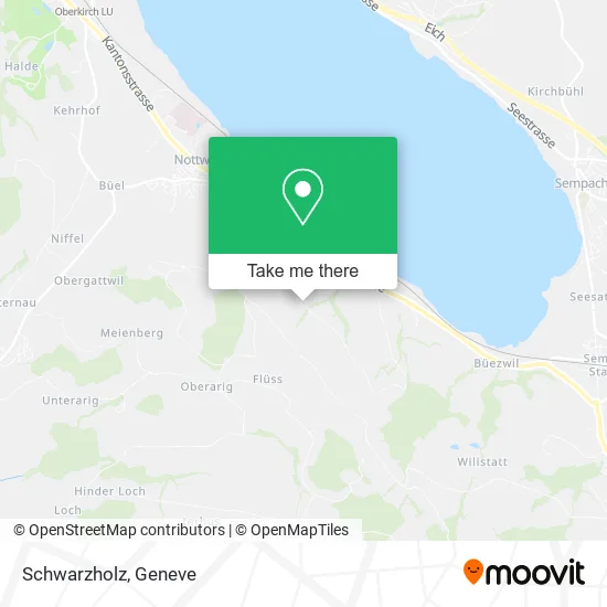 Schwarzholz map