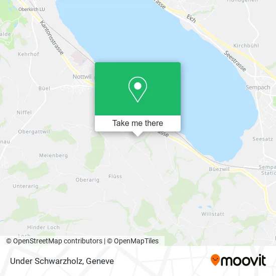 Under Schwarzholz map
