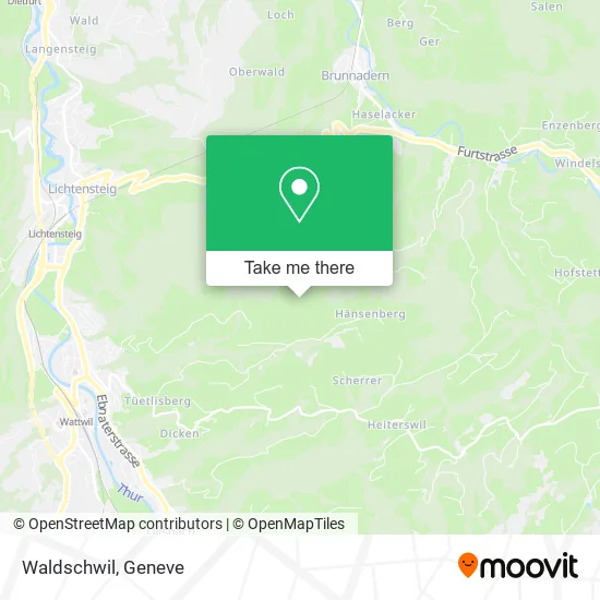 Waldschwil map