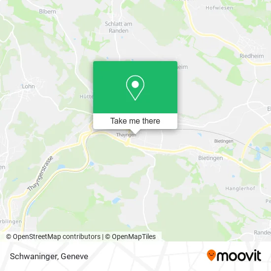 Schwaninger map