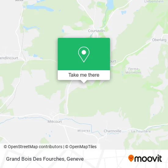 Grand Bois Des Fourches map