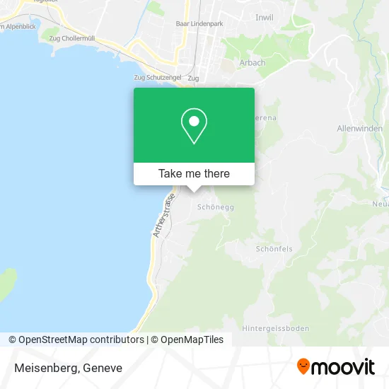 Meisenberg map