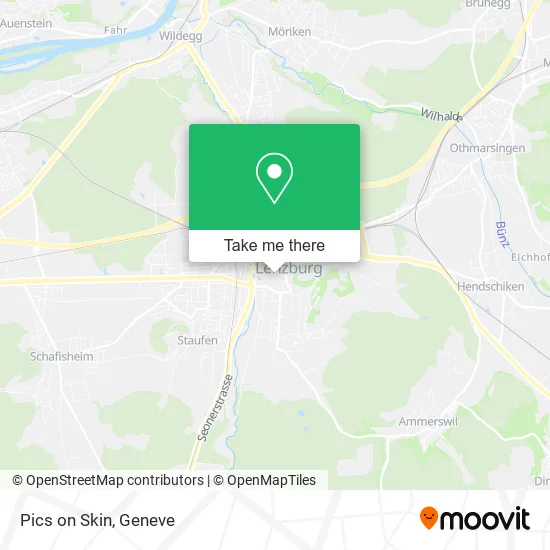 Pics on Skin map