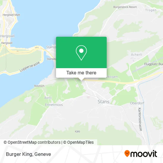 Burger King map