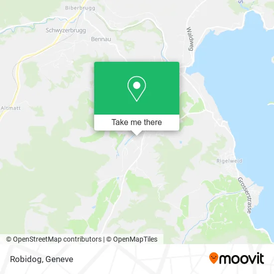 Robidog plan