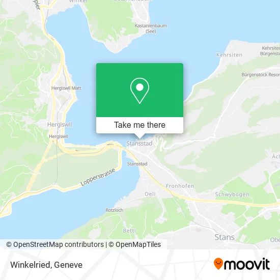 Winkelried map