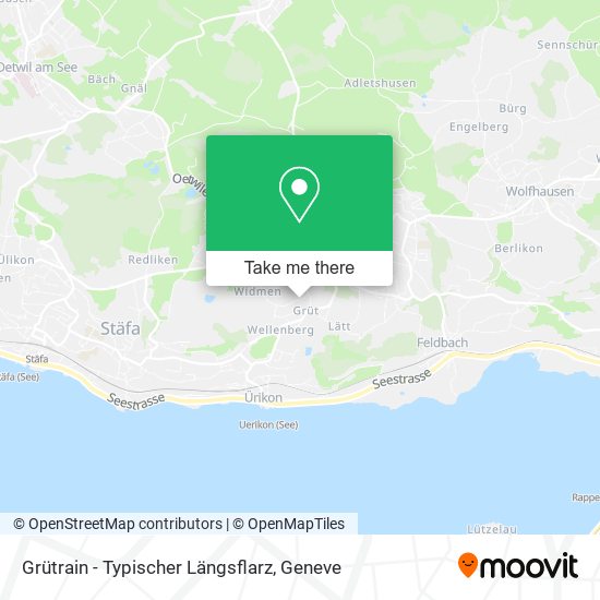 Grütrain - Typischer Längsflarz map