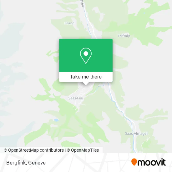 Bergfink map