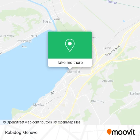 Robidog plan