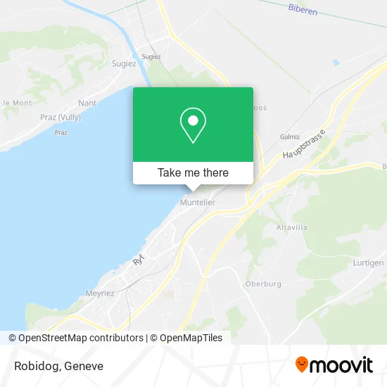 Robidog plan