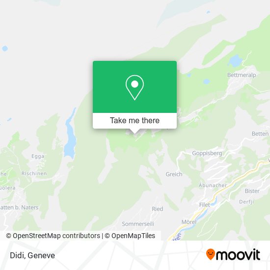 Didi map