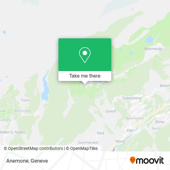 Anemone map
