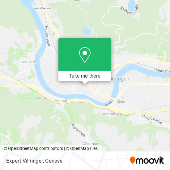 Expert Villringer map