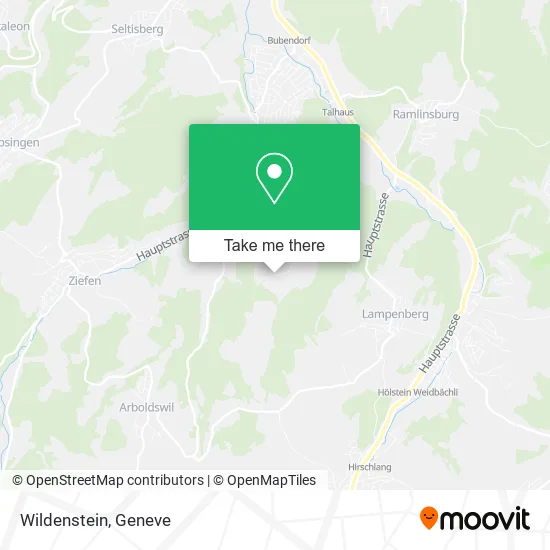 Wildenstein map