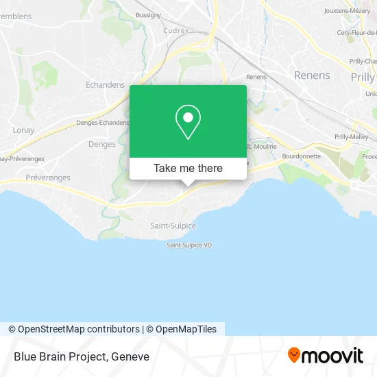 Blue Brain Project map