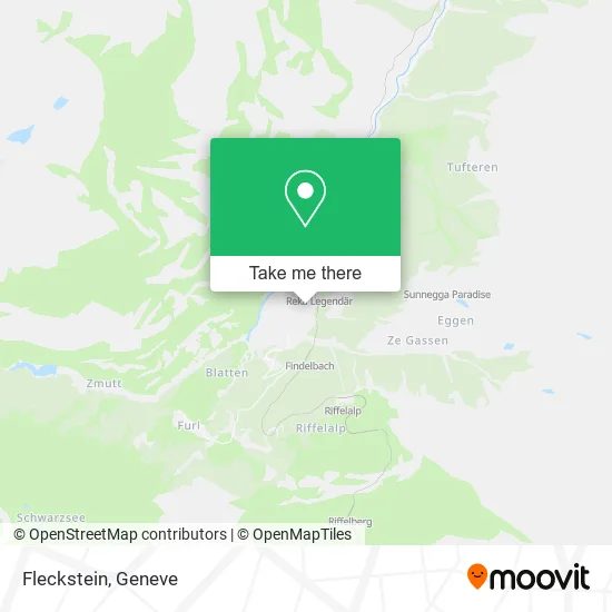 Fleckstein plan