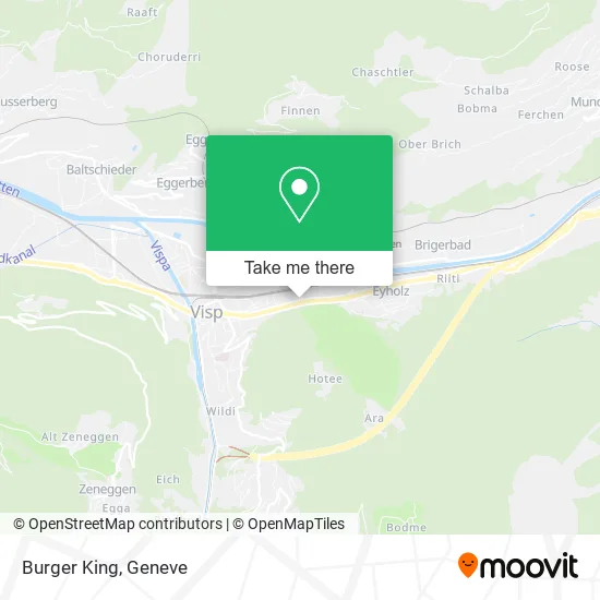 Burger King plan