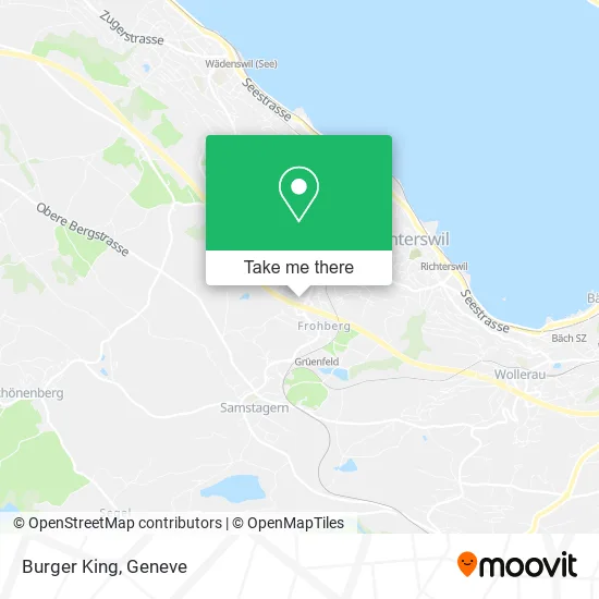 Burger King plan