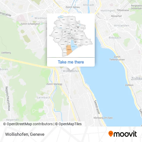 Wollishofen plan