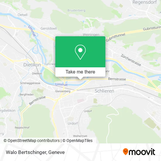 Walo Bertschinger map