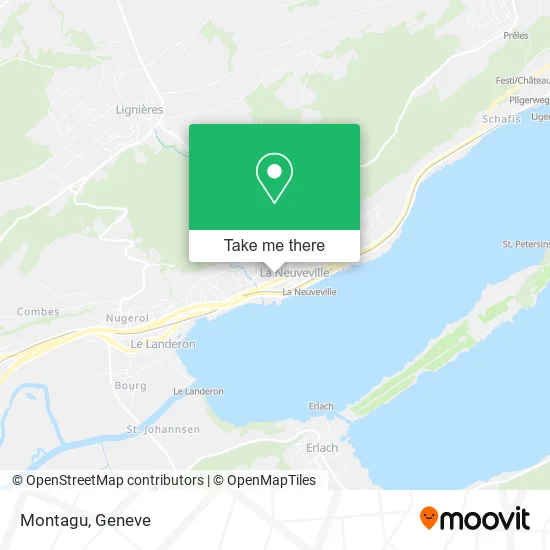 Montagu map
