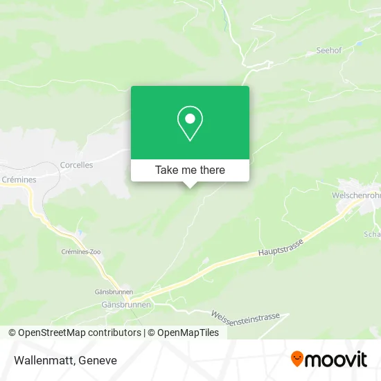 Wallenmatt plan