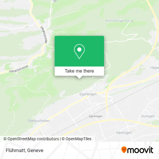 Flühmatt map