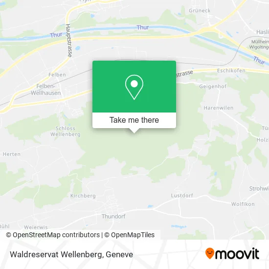 Waldreservat Wellenberg map