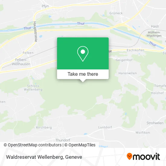 Waldreservat Wellenberg map