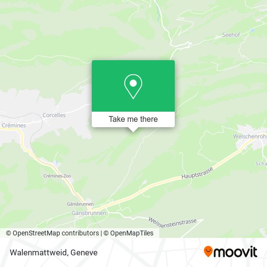 Walenmattweid map