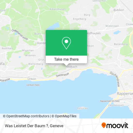 Was Leistet Der Baum ? map