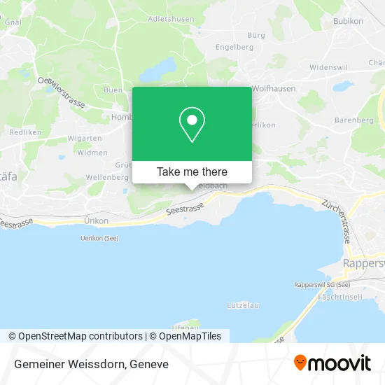 Gemeiner Weissdorn map