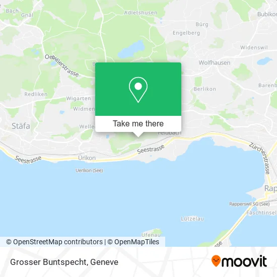 Grosser Buntspecht map