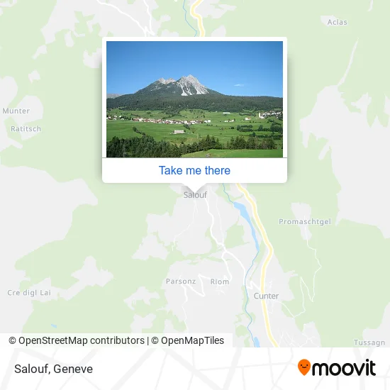 Salouf map