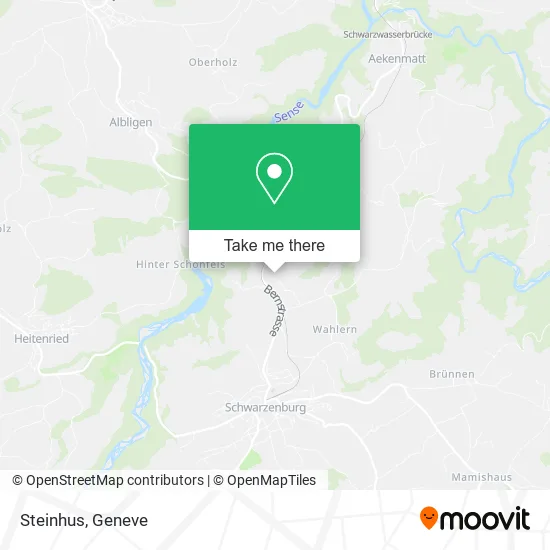 Steinhus map