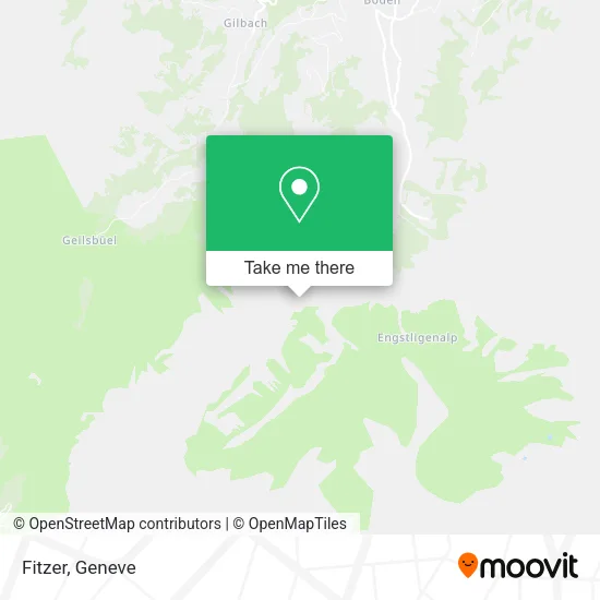 Fitzer map