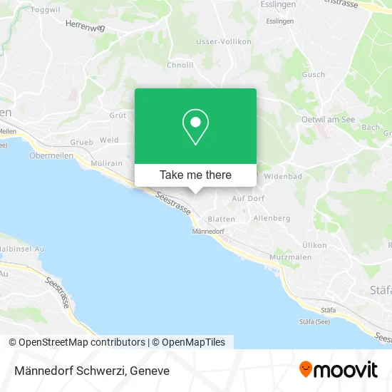 Männedorf Schwerzi map