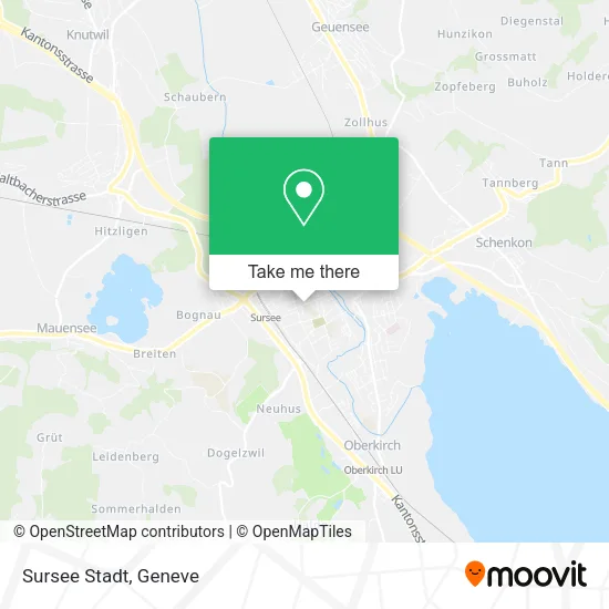 Sursee Stadt map